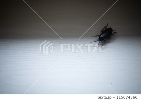 びっくりオモチャの走るゴキブリくん びっくりオモチャの走るゴキブリくん 115074360