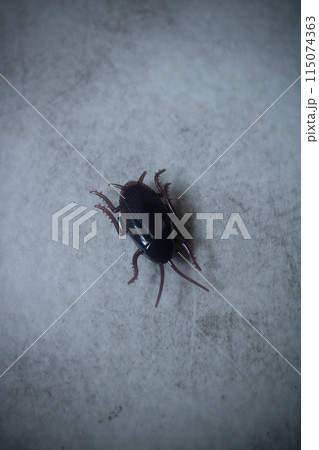 びっくりオモチャの走るゴキブリくん 115074363