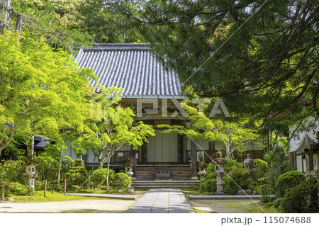 新緑の京都　槇尾山西明寺　本堂 115074688