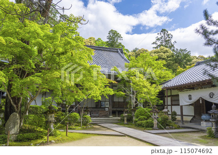 新緑の京都　槇尾山西明寺　本堂・聖天堂 115074692