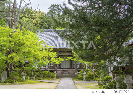 新緑の京都　槇尾山西明寺　本堂 115074704