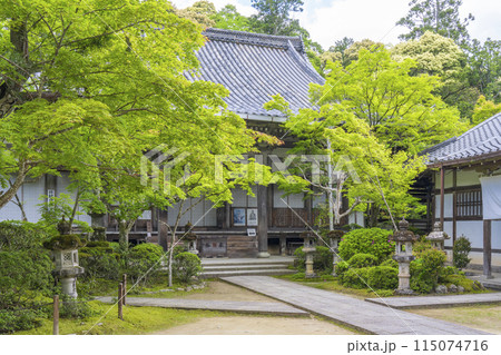 新緑の京都　槇尾山西明寺　本堂・聖天堂 115074716
