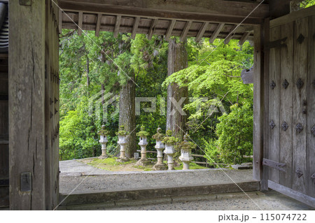 京都　槇尾山西明寺　新緑に包まれた表門 115074722