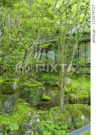 京都 槇尾山西明寺 客殿裏 趣のある苔庭 京都 槇尾山西明寺 客殿裏 趣のある苔庭 115074727
