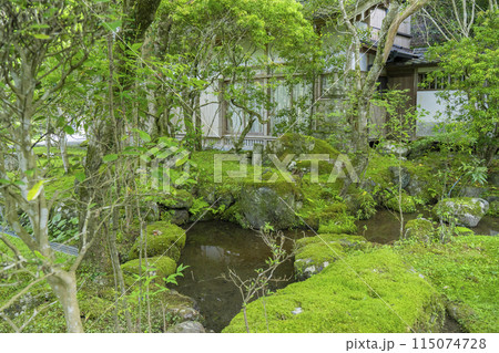 京都　槇尾山西明寺　客殿裏　趣のある苔庭 115074728