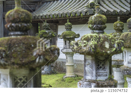 新緑の京都　槇尾山西明寺　趣のある境内　苔むした石灯籠 115074732