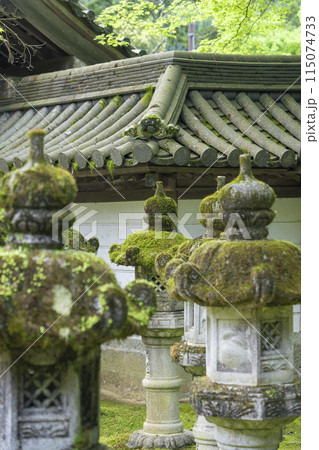 新緑の京都　槇尾山西明寺　趣のある境内　苔むした石灯籠 115074733