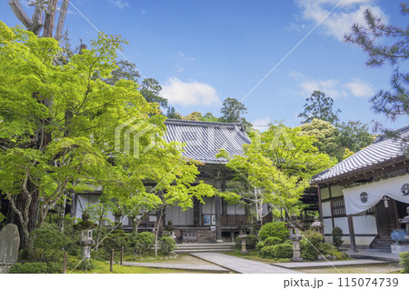 新緑の京都 槇尾山西明寺 本堂・聖天堂 新緑の京都 槇尾山西明寺 本堂・聖天堂 115074739