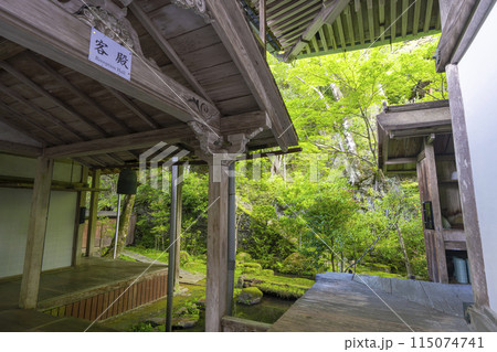 新緑の京都　槇尾山西明寺　客殿に向かう渡り廊下 115074741