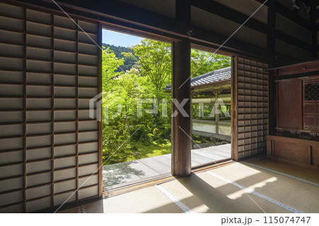 新緑の京都　槇尾山西明寺　本堂から見える美しい苔庭 115074747