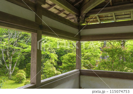 新緑の京都　槇尾山西明寺　渡り廊下から見える美しい苔庭 115074753