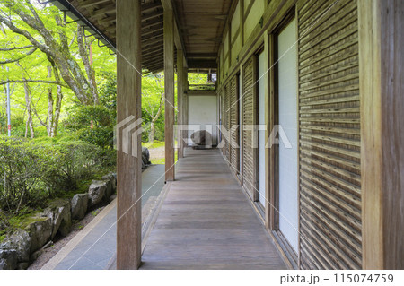 新緑の京都　槇尾山西明寺　客殿 115074759