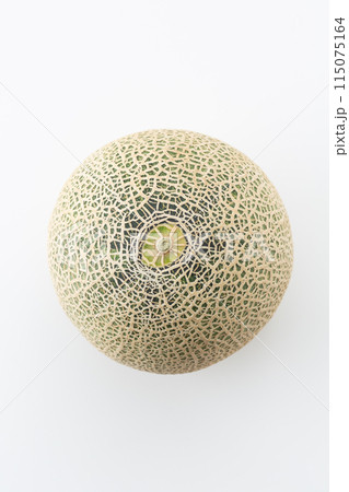 白バックのアンデスメロン 115075164