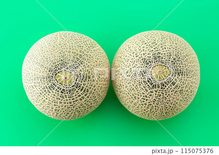 緑バックのアンデスメロン 115075376