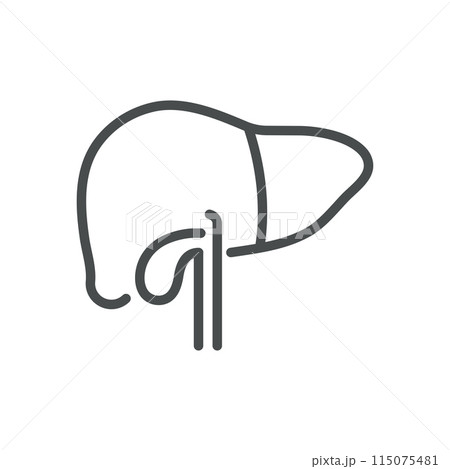 Liver and Gallbladder Icon. Isolated Line Illustration of Human Liver and Gallbladder, Representing Hepatology, Digestive Health, and Biliary System. Perfect for Medical and Healthcare Applications. 115075481