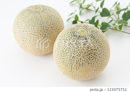 白バックのアンデスメロン 115075752