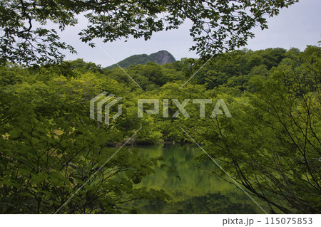 新緑が水面に映る美しい鎌池と大渚山 長野県小谷村 新緑が水面に映る美しい鎌池と大渚山 長野県小谷村 115075853