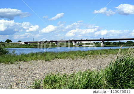 右岸上流の河川敷から見た上武大橋 右岸上流の河川敷から見た上武大橋 115076013