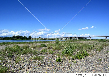 右岸上流の河川敷から見た上武大橋 115076014