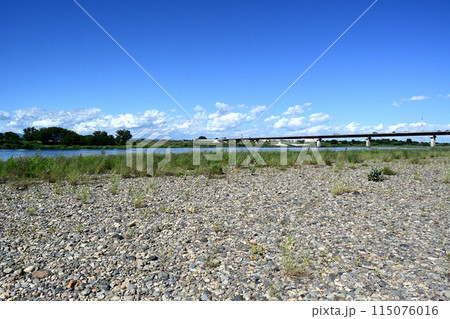 右岸上流の河川敷から見た上武大橋 115076016