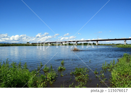 右岸上流の河川敷から見た上武大橋 115076017