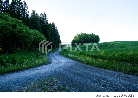 岩手県の小岩井農場の農道と豊かな自然　道 115076028
