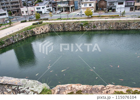 毛利水軍の居城「三原城」 115076104