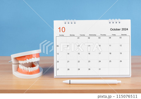 October monthly desk calendar for 2024 year and model dentures on the table. 115076511