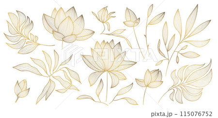 Vector set of gold leaves isolated, plant branches, lotus line illustration, luxury foliage decoration. Vintage ornament elements, jungle, summer background. 115076752