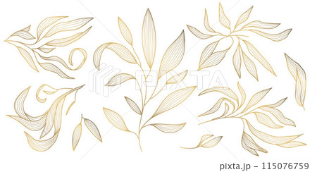 Vector set of gold wavy leaves isolated, plant branch line illustration, luxury foliage decoration. Vintage ornament elements, jungle, summer background. 115076759