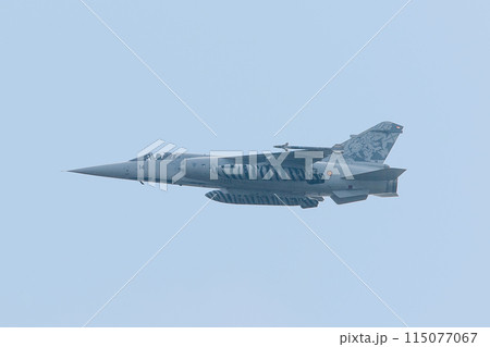 スペイン空軍ミラージュF1M戦闘機 スペイン空軍ミラージュF1M戦闘機 115077067