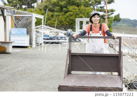 魚港で働く若い女性 115077221