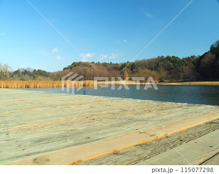 21世紀の森と広場の木道から見る冬の池と森風景	 115077298