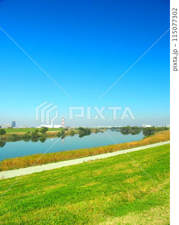 除草された土手から見る秋の江戸川風景 115077302