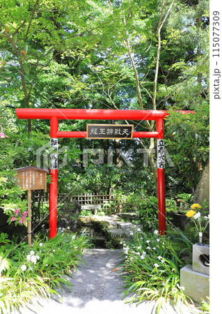 五徳山水澤観世音（水澤寺）　龍王弁財天 115077309