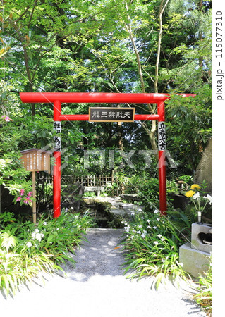 五徳山水澤観世音（水澤寺）　龍王弁財天 115077310