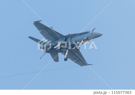スペイン空軍EF-18Aホーネット 115077363
