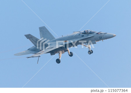 スペイン空軍EF-18Aホーネット 115077364