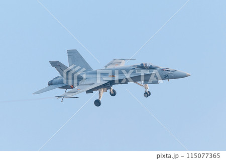 スペイン空軍EF-18Aホーネット 115077365
