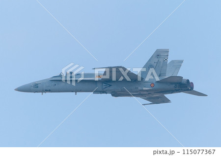 スペイン空軍EF-18Aホーネット 115077367