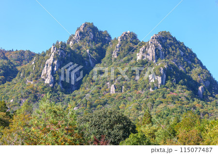 三倉岳の紅葉 115077487