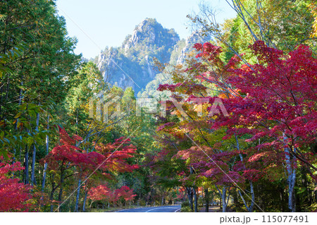 三倉岳の紅葉 三倉岳の紅葉 115077491