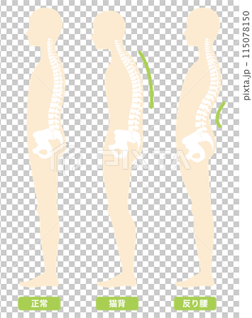 2024-Human body-posture illustration 115078150