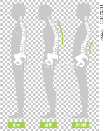2024-Human body-posture illustration 115078151
