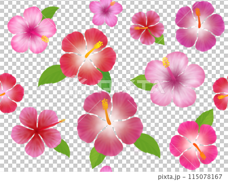 Hibiscus seamless pattern A 115078167