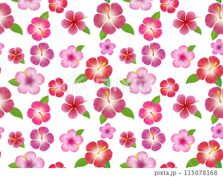 ハイビスカスのシームレスパターン A' ハイビスカスのシームレスパターン A' 115078168