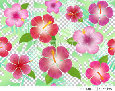 Hibiscus seamless pattern B 115078169