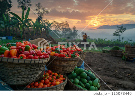 野菜 ベジタブル 青菜 115078440