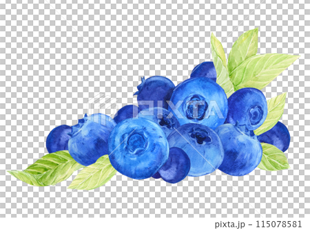 Blueberry composition. Watercolor blue berries, greens and leaves. A branch of ripe bilberry lies on the table. Illustration for packaging of eco-products, label for blueberry jam. 115078581