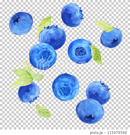 Falling juicy ripe strawberries with green leaves on a transparent background. Watercolor illustration for advertising juices, desserts, pastries. Falling juicy ripe strawberries with green leaves on a transparent background. Watercolor illustration for advertising juices, desserts, pastries. 115078588